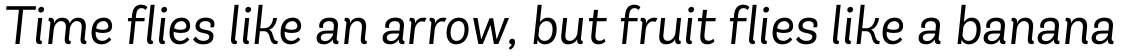 Andes Italic Book