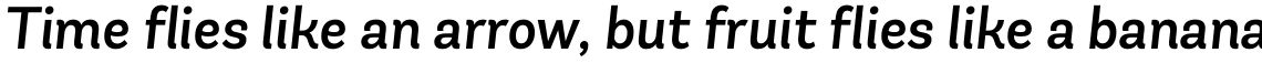 Andes Italic Medium