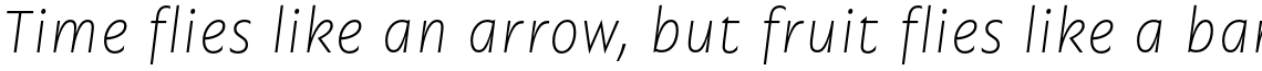 Garrison Thin Italic