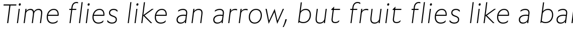 Garrison Thin Oblique