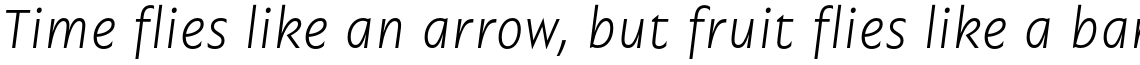 Garrison Light Italic