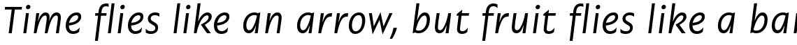 Garrison Regular Italic