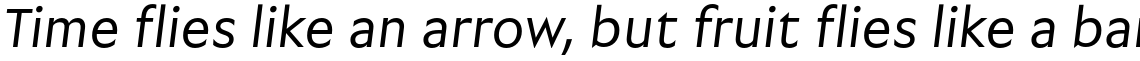 Garrison Regular Oblique