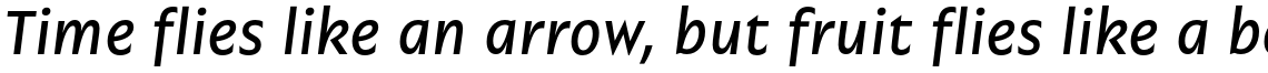 Garrison Medium Italic