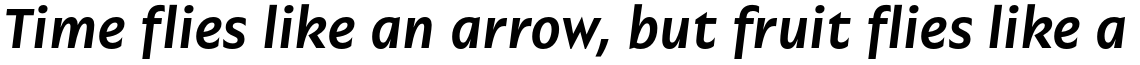 Garrison SemiBold Italic