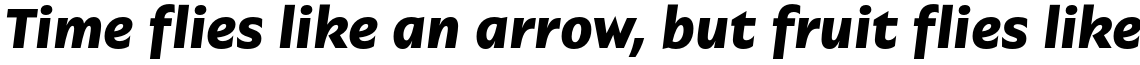 Garrison Bold Italic