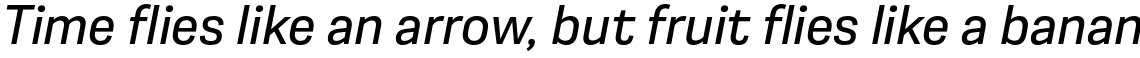 Moderna Sans Regular It