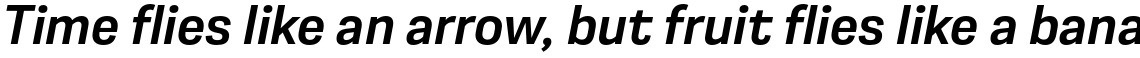 Moderna Sans Medium It