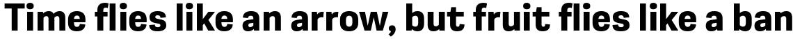 Moderna Sans Bold