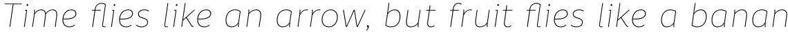 Informative Thin Italic
