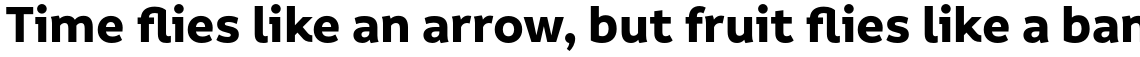 Informative Bold