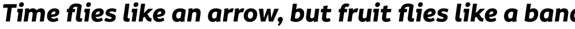 Informative Bold Italic