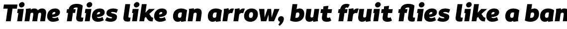 Informative Black Italic