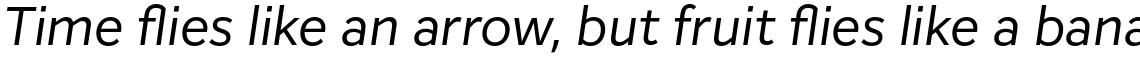 Inter Sans Regular Italic