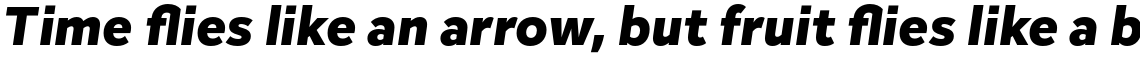 Inter Sans Black Italic