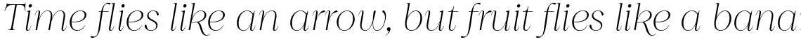 Princesa Thin Italic