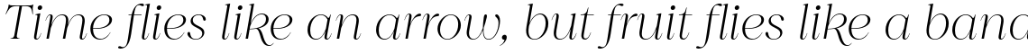 Princesa ExtraLight Italic
