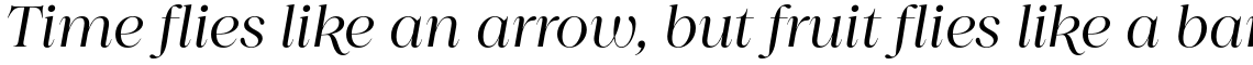 Princesa Regular Italic