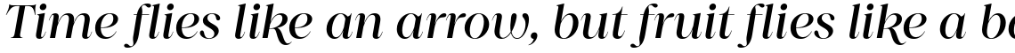 Princesa Medium Italic