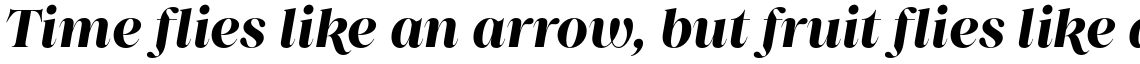 Princesa Bold Italic