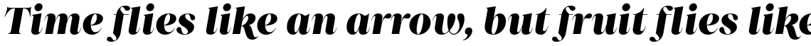 Princesa Black Italic