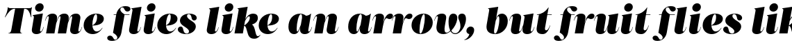 Princesa Heavy Italic