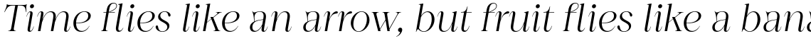 Princesa Alt Light Italic