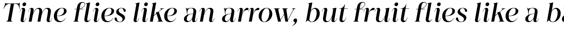 Princesa Alt Medium Italic