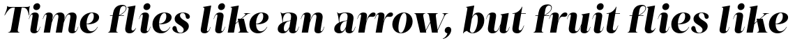 Princesa Alt Bold Italic