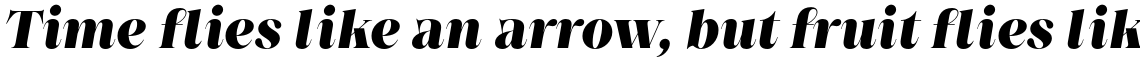 Princesa Alt Black Italic