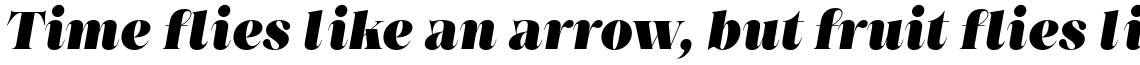 Princesa Alt Heavy Italic