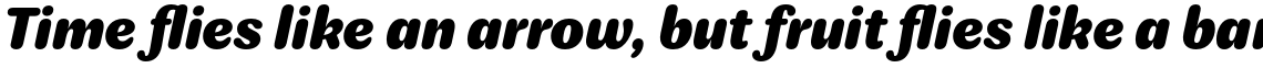 Amostra Black Italic