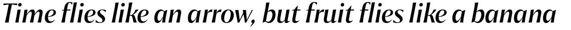 Chakai Medium Italic