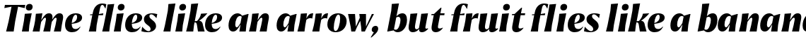 Chakai Bold Italic