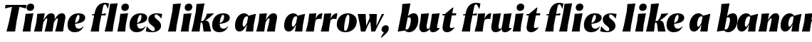 Chakai Black Italic
