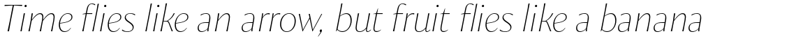 Chakai Alt Thin Italic
