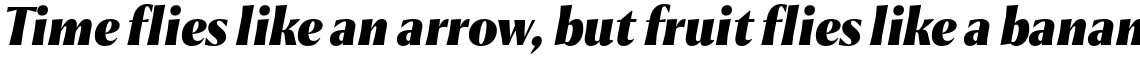 Chakai Alt Black Italic