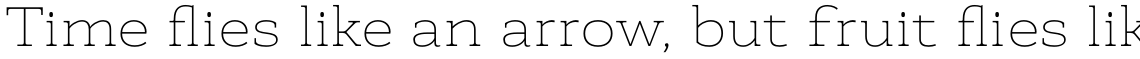 Faraon Expanded Thin
