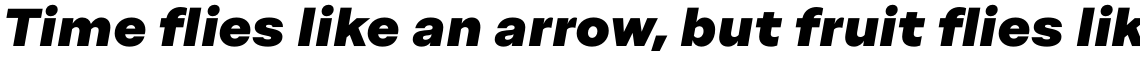 Mandioca Black Italic