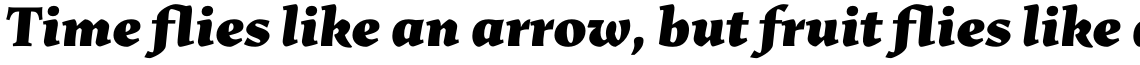 Uffizi Black Italic
