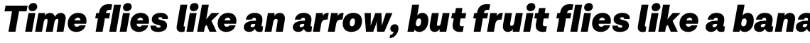 Lota Grotesque One Black Italic