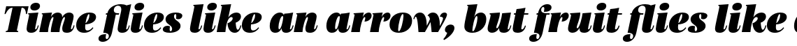 Gabriela Black Italic