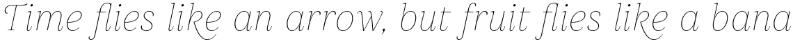 Gabriela Alt Thin Italic