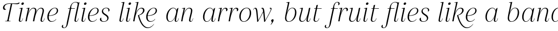 Gabriela Alt Light Italic