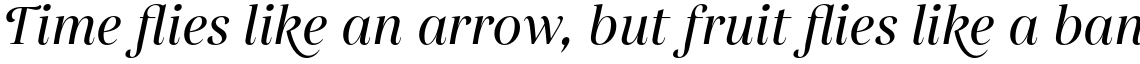 Gabriela Alt Medium Italic