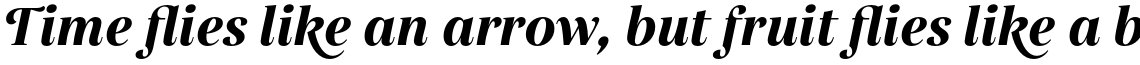 Gabriela Alt Bold Italic
