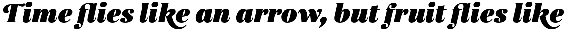 Gabriela Alt Black Italic