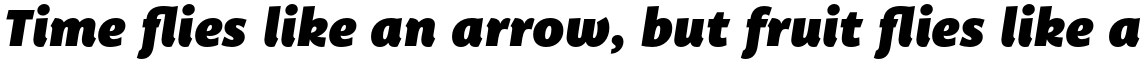 Trust Sans Alt Black Italic