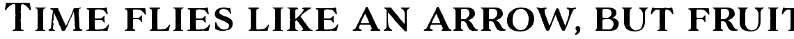 Adorn Serif