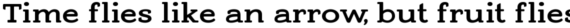 Adorn Smooth Slab Serif Bold